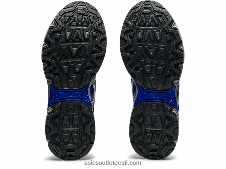 gel-venture 8-klassiline kool 6PB8D4509Asics lapis lazuli sinine/puhas hõbedane