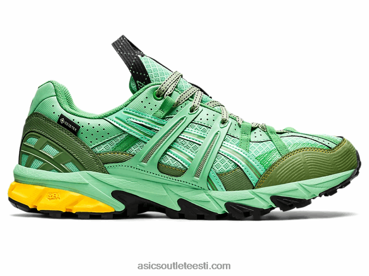 hs4-s geel-sonoma 15-50 gtx 6PB8D1248Asics kevadine kimp/sinine grafiit