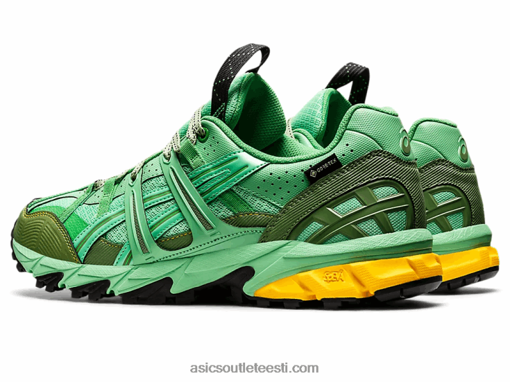 hs4-s geel-sonoma 15-50 gtx 6PB8D1248Asics kevadine kimp/sinine grafiit