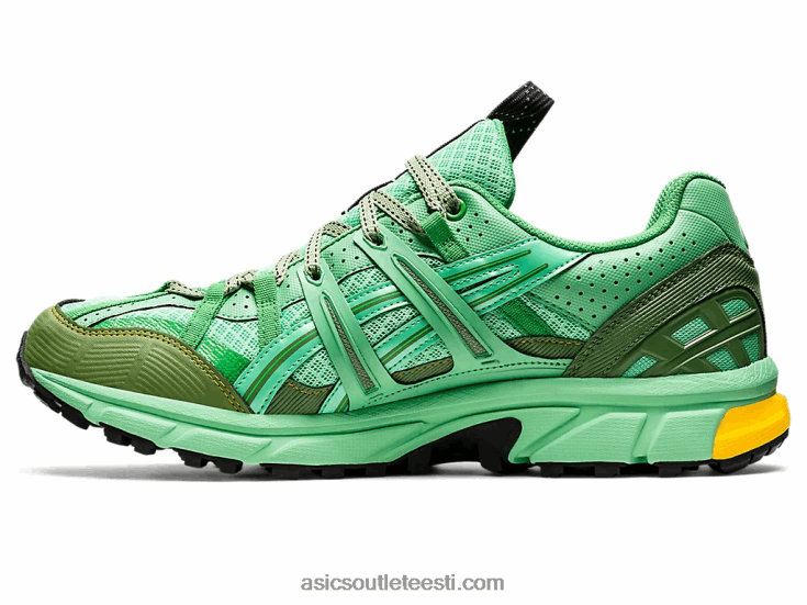 hs4-s geel-sonoma 15-50 gtx 6PB8D1248Asics kevadine kimp/sinine grafiit