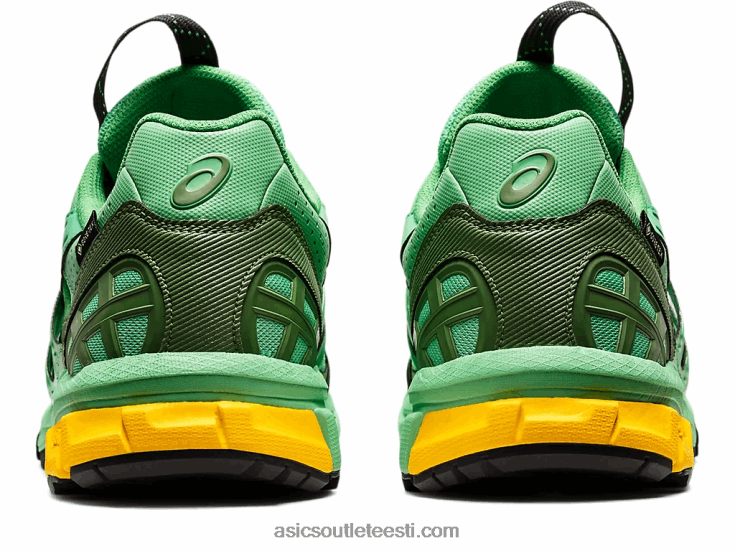 hs4-s geel-sonoma 15-50 gtx 6PB8D1248Asics kevadine kimp/sinine grafiit