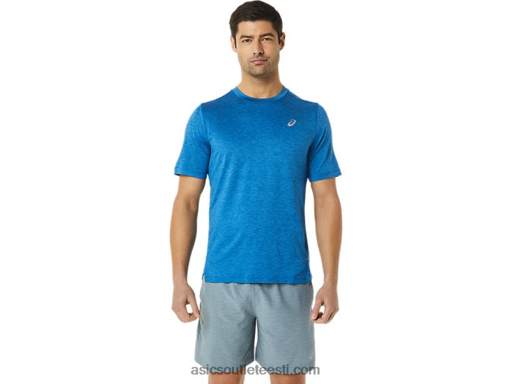 järvesõidu kanarbik