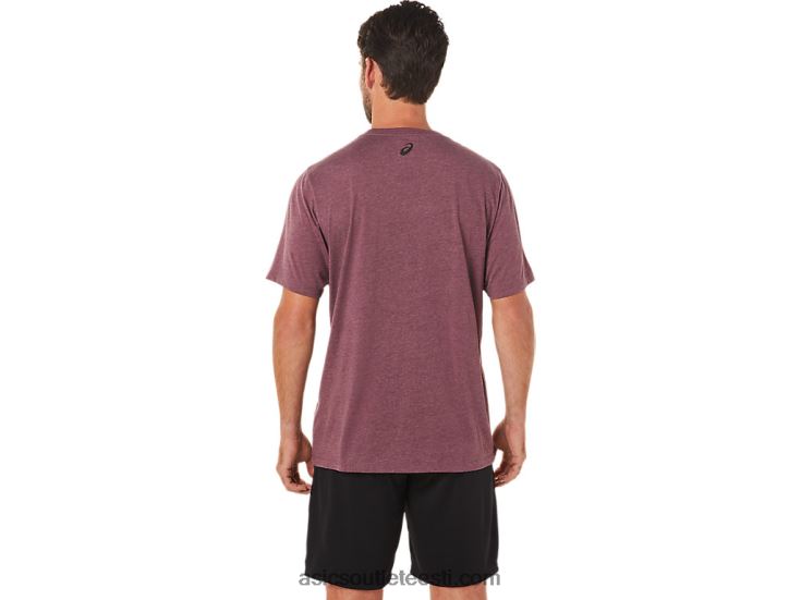 triibuline lühikeste varrukatega t-särk 6PB8D1643Asics sügav marsi kanarbik