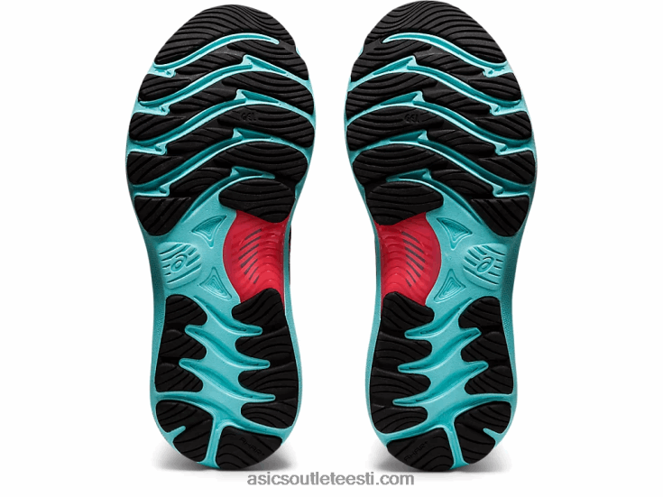 gel-nimbus 23 lite-show 6PB8D3743Asics must/puhas hõbe